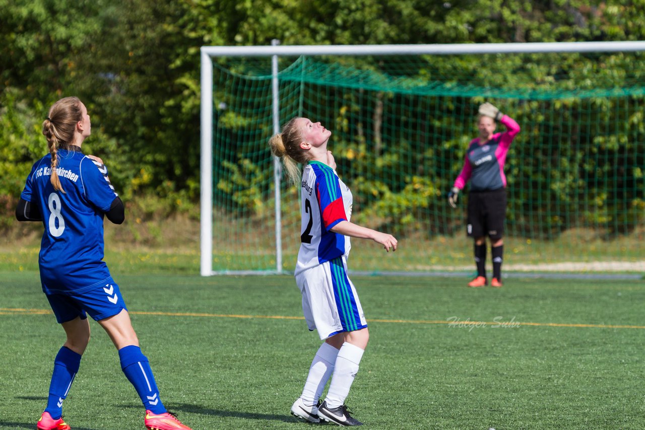 Bild 232 - B-Juniorinnen SV Henstedt Ulzburg - FSC Kaltenkirchen : Ergebnis: 3:2